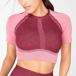Fabletics Helena Cropped Seamless Top L